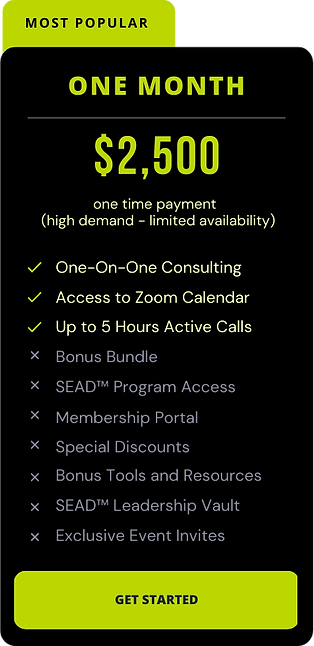 Consulting Packages - One Month.png