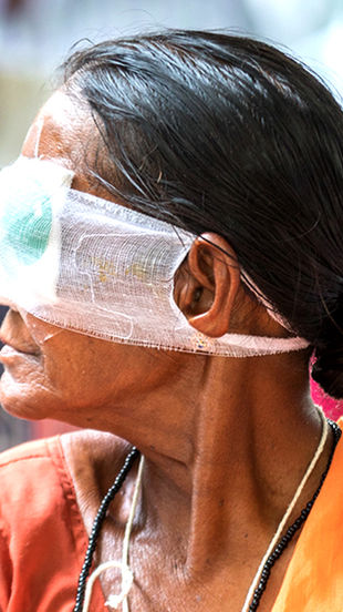 The SEAD™ Professional-Service Model (PSM)