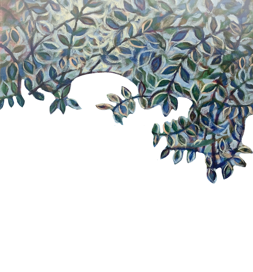 Trees2.png