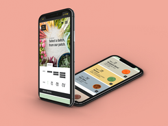 Mobile SIte Design