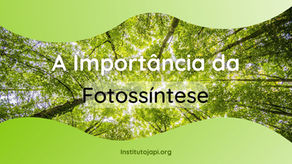 A Importância da Fotossíntese