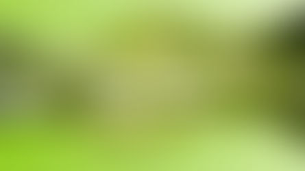 A Importância da Fotossíntese