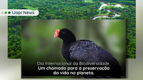 IJAPINEWS: DIA INTERNACIONAL DA BIODIVERSIDADE E OS DESAFIOS PARA A CONSERVAÇÃO NO ANTROPOCENO