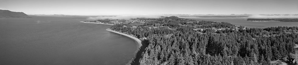trees water lummi bw shutterstock_183366