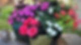 IMG_0183 (3)_edited.png