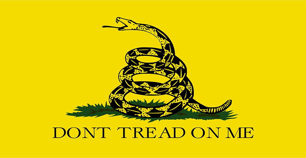Thumbnail: Dont Tread On Me License plate, Custom license plate, personalized license plate, airbrush license plate, auto tag,