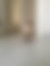 sahiplendirme için kedi ilanlari gösteren ikinci küçük fotoğraf