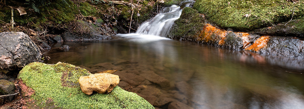 Bachlauf wilhelmsfeld 1.jpg