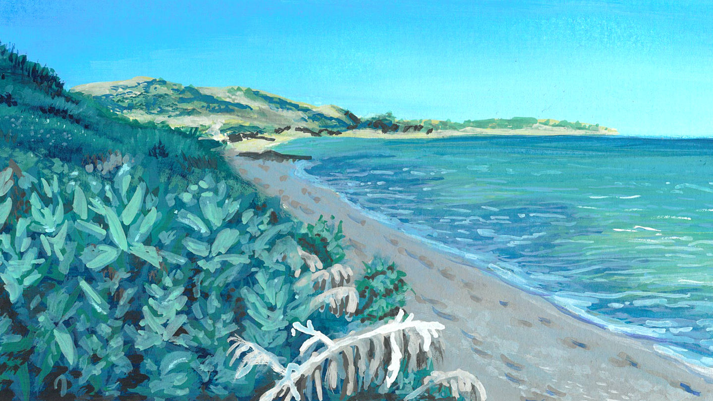 Skeletonbay.jpg