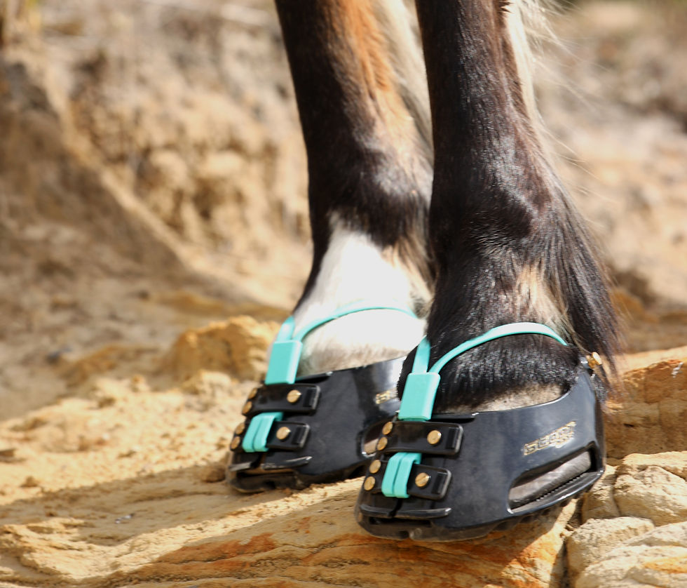 Miniature : Mud Strap