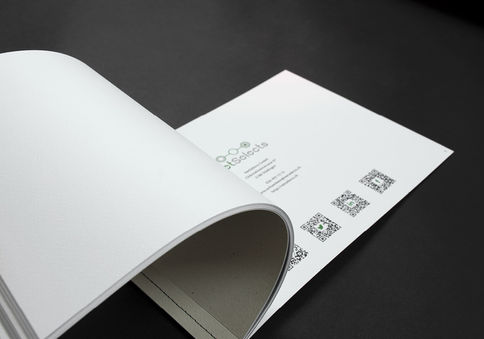 netselect-portfolio-3
