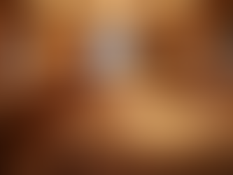 Memorable Weddings: Testimonials from DJ WhiteCollar Clients