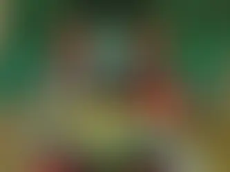 IS LATVERIA A SOCIALIST NATION?