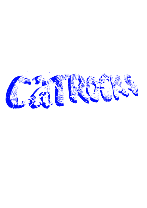 catrocks　MRO