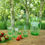 Thumbnail: A Striking Green Whitefriars Jug and Glass Set