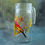 Thumbnail: A Vintage 1970s Luminarc Bird Design Jug and Six Glasses