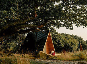 Homepage_Wide_Image-1088x656.jpg