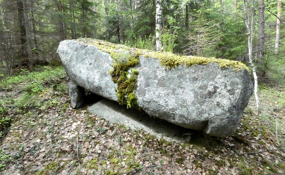 P1010400.jpg