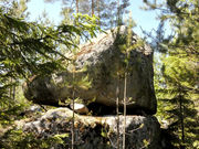 P1020109.jpg