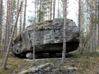 P1010035.jpg