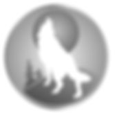 blank duck background.PNG