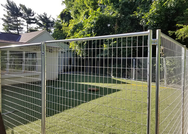 small yard daylight_20180630.jpeg