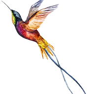 Watercolor Bird 2