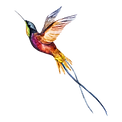 Vogel 2