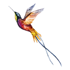 Pájaro de la acuarela 2