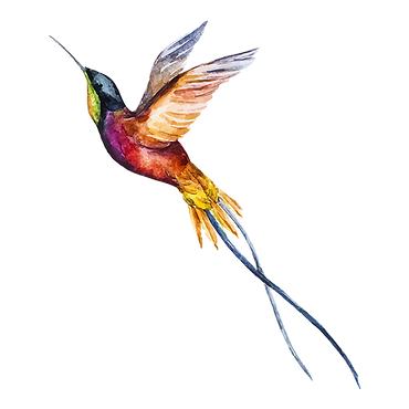 Watercolor pássaro 2