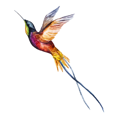 Watercolor Bird 2