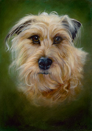 dog