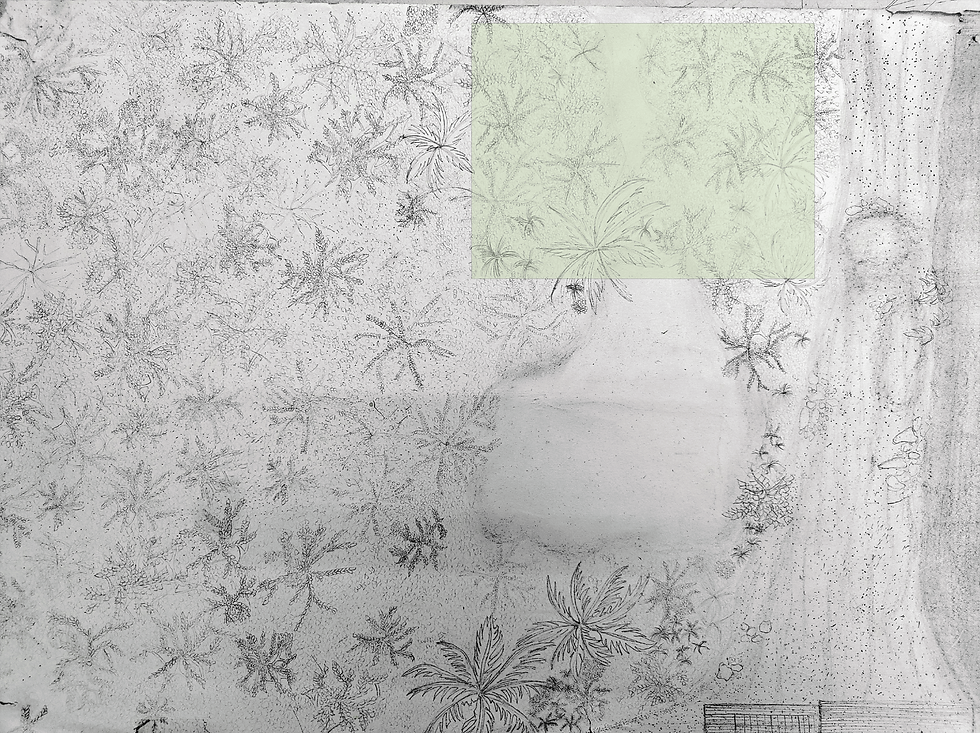 Site plan with marked location of the shelter