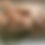 Thumbnail: *CHICKEN WING BUNDLE*