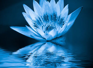 Blue-Lotus-Amber-Fragrance-Oil__43308.jpg