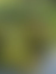 There is a Path in Apathy