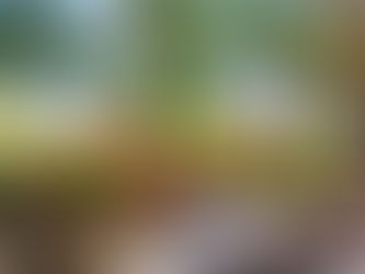 Embark on a Culinary Journey at DiLido Beach Club, at The Ritz-Carlton South Beach