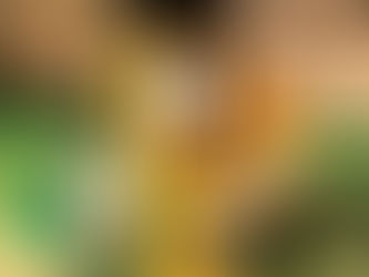 Miami’s 'Acqua di Parma' Boutique Welcomes India Mahdavi’s Festive Murano Collection