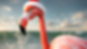 Season’s Greetings from Miami Living Magazine!