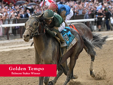Golden Tempo Wins Belmont Stakes at Saratoga With Late Rally
