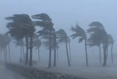 All You Need to Know About Florida's Ferocious Hurricanes