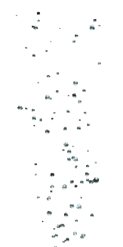 Bubbles.gif