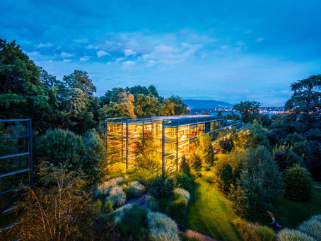 Richemont Publishes FY24 Annual Report and Non-Financial Report