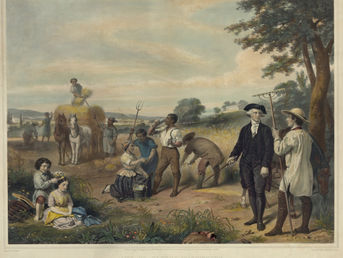 Florida's Misconceptions on George Washington's Slave Ownership Benefits