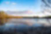 Restoring Florida's Everglades Will Benefit Both Humans & Nature