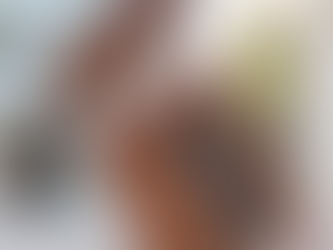 Miami Design District Announces October 2025 Art Tours