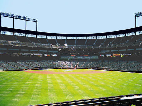 A World Without Sports