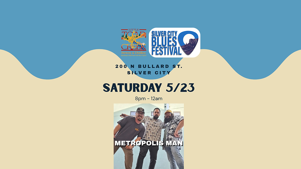 Blues Fest with: Metropolis Man