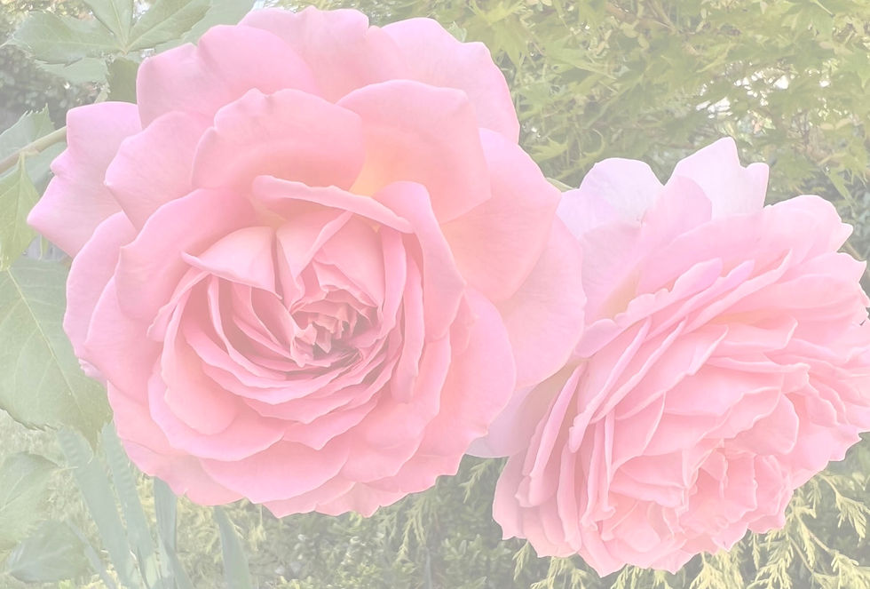 Galentines Day