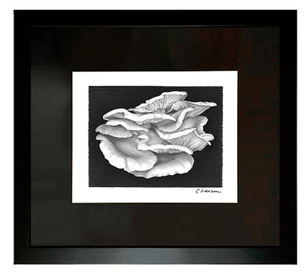 mushroom art, mushroom drawing, nature art, nature drawing, natural art, beautiful art, beautiful drawing, freeform art, outdoor art
